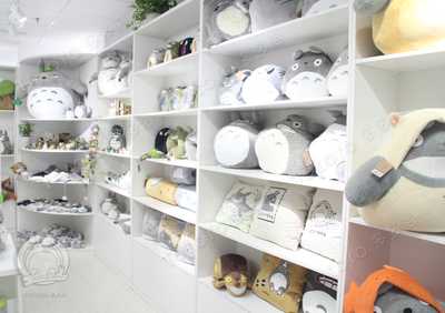 動(dòng)漫周邊的經(jīng)典——探訪多多洛龍貓動(dòng)漫店與杭州市凡簡(jiǎn)家居用品